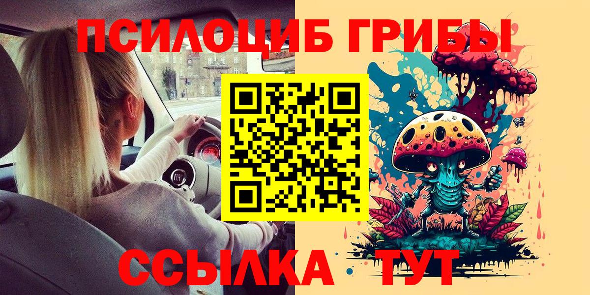 Псилоцибиновые грибы Psilocybe  Вход с VPN  сколько стоит  Псилоцибиновые грибы мицелий  Камень-на-Оби 