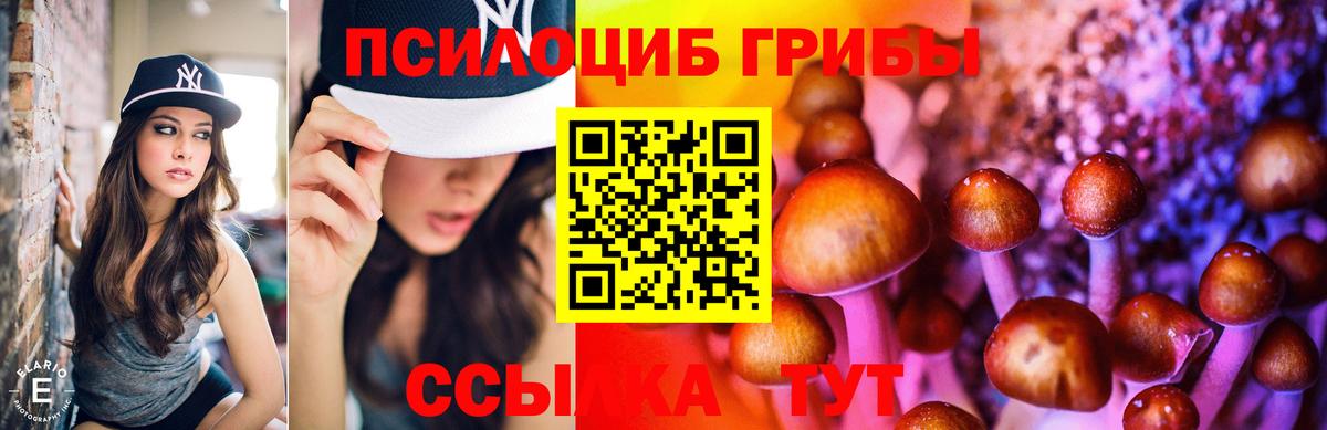 Псилоцибиновые грибы Psilocybe Камень-на-Оби